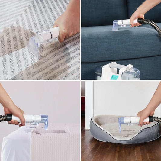 HAUSHOF Carpet Spot Cleaner