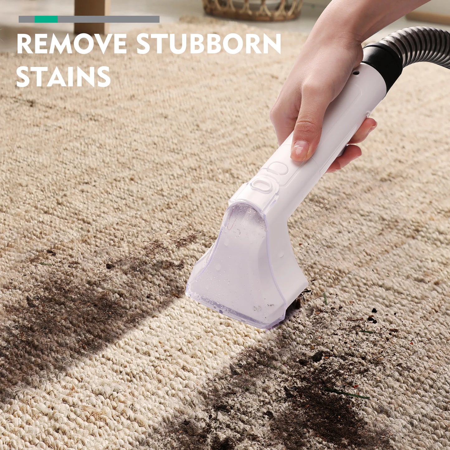 HAUSHOF Carpet Spot Cleaner